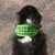 Boundary Bandana lifestyle PEAK-GREEN