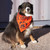 Boundary Bandana lifestyle PEAK-RED