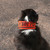 Boundary Bandana lifestyle PEAK-RED
