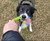 Fur Crinkle Bungee Tug