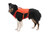 Confluence Dog Life Jacket lifestyle RU-4525-802S2; RU-4525-802S1; RU-4525-802S; RU-4525-802M; RU-4525-802L; RU-4525-802L1