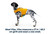 Float Coat Dog Life Jacket