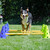 FitPAWS Canine Gym Dog Agility Set