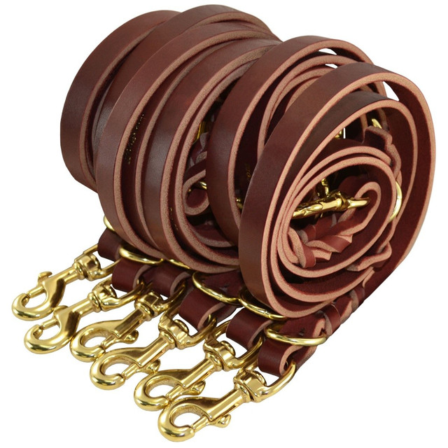 Convertible Service Dog Leash HandsFree J&J Dog Supplies