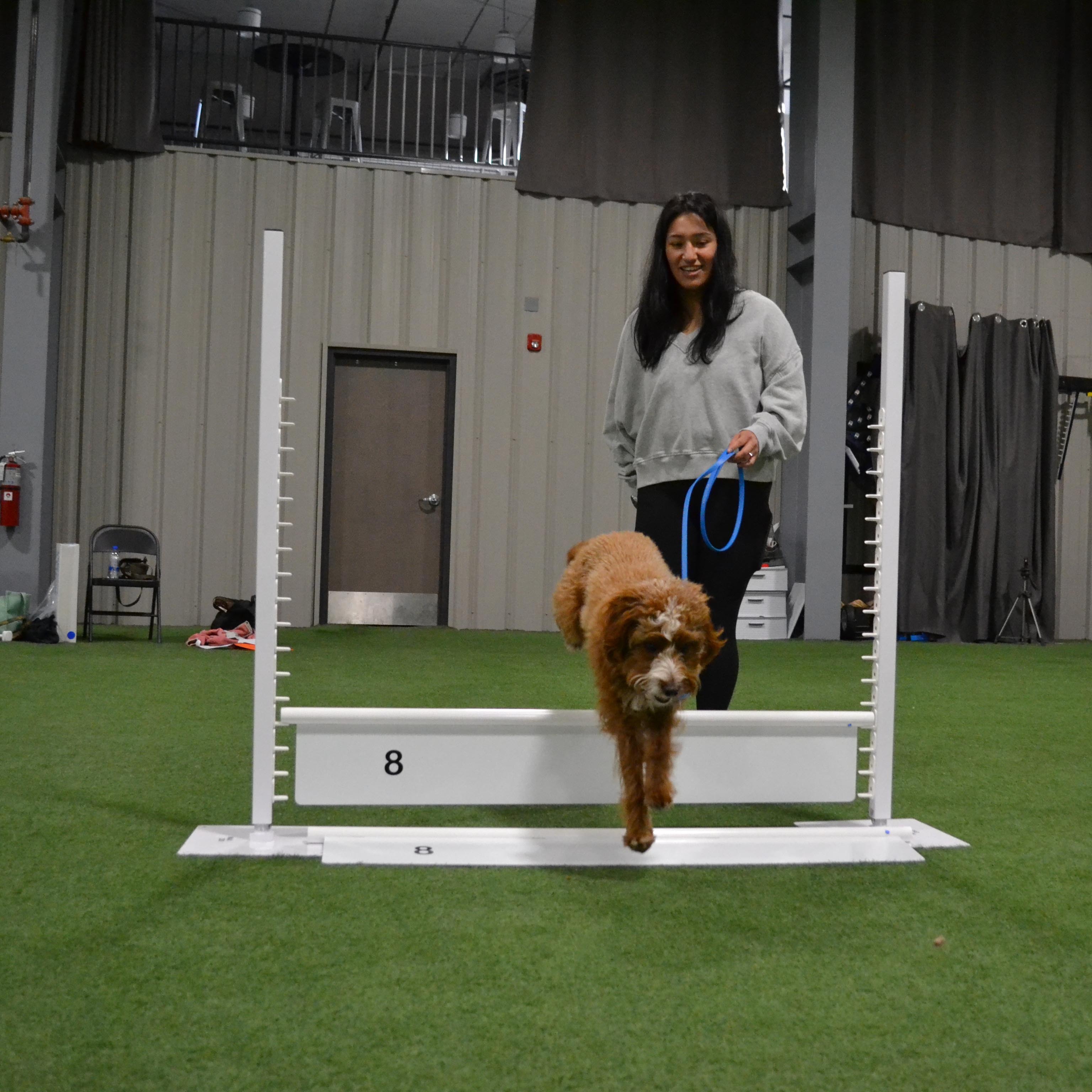 Max 200 Displaceable High Jump | Dog Competition Jump - J&J Dog