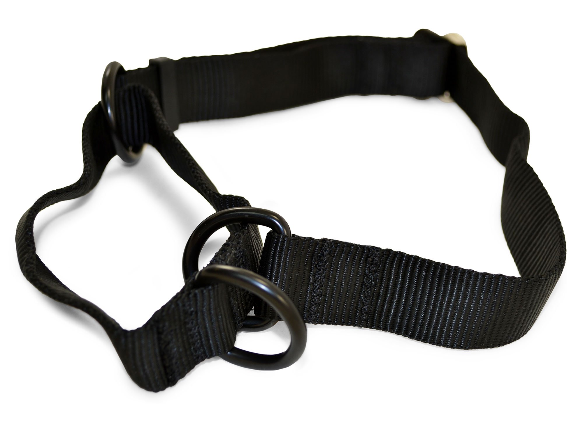 Oiled Leather Leash  K9 Exclusive - Ray Allen Manufacturing