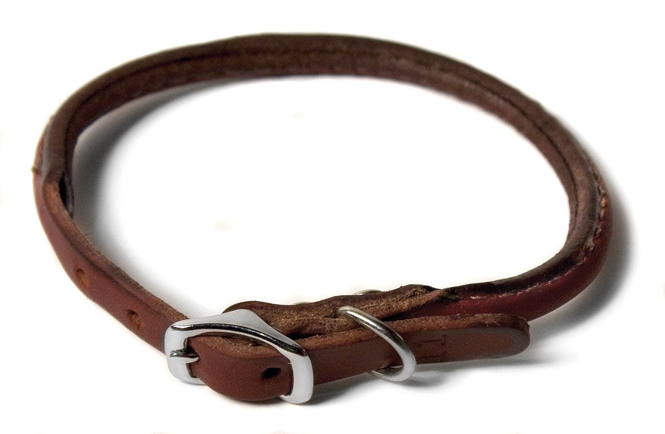 Leather Dog Leashes & Leads  Handcrafted Quality - Ray Allen Manufacturing