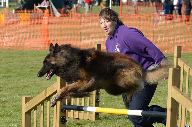 woman running agility with dog