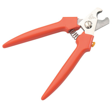 Buy Sage Square Pet Paw Scissor Nail Cutter Cum Clipper For Pets Cat And  Kitten Online at Best Prices in India - JioMart.