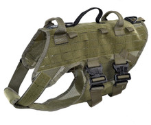 dog tracking equipment