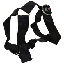 dog tracking training equipment