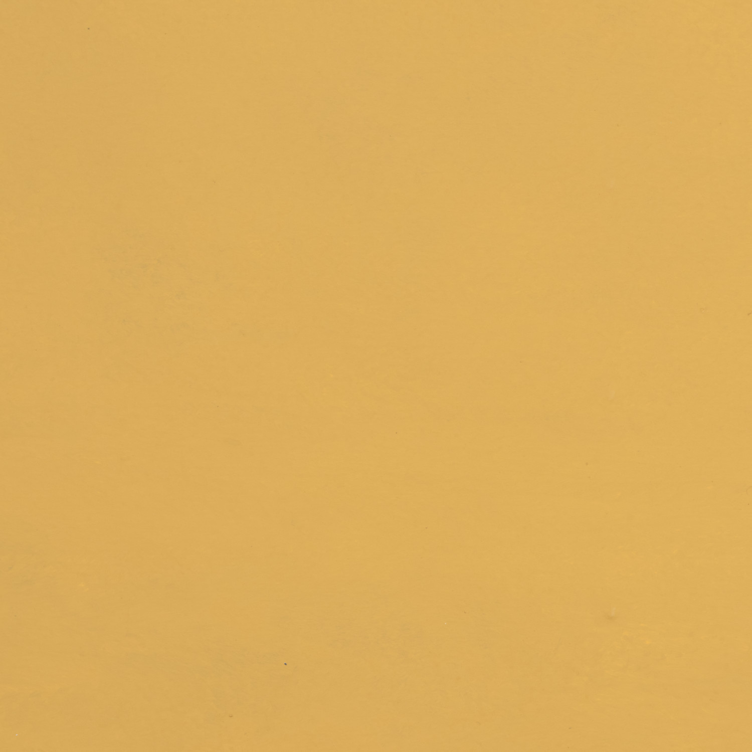 Gravity Backdrops Ochre Low Texture M