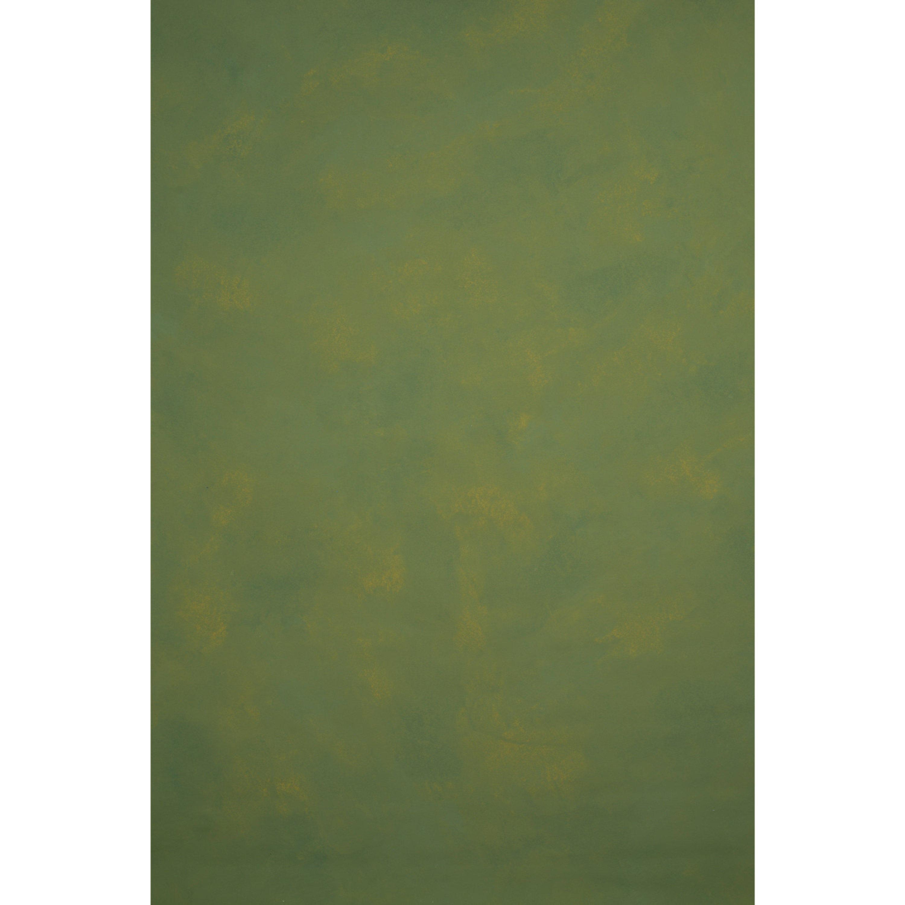 Gravity Backdrops Green Mid Texture M (SN: 11121)