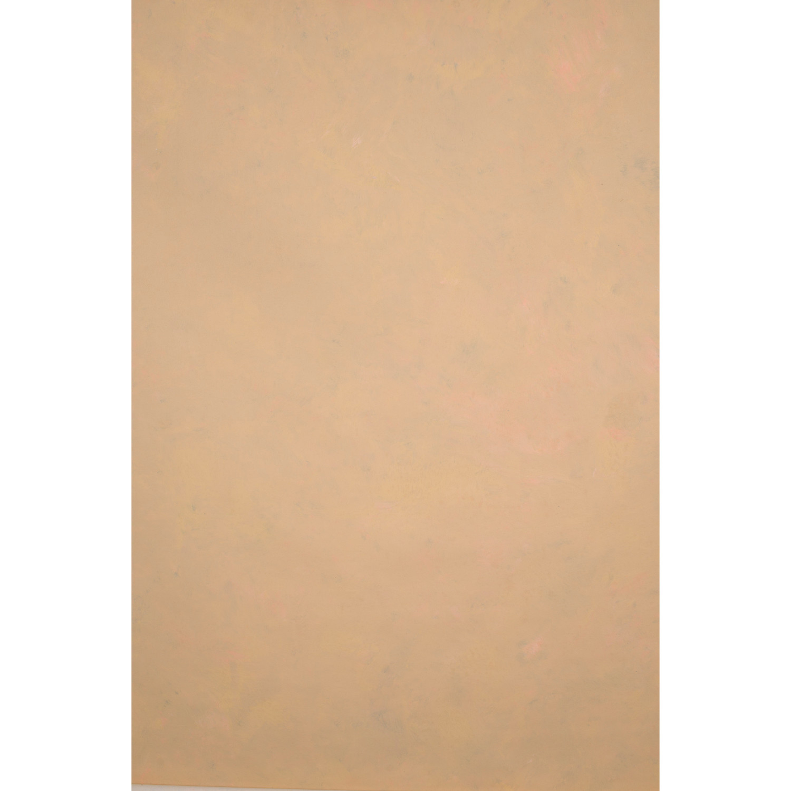 Gravity Backdrops Ochre Low Texture XL (SN: 1125)