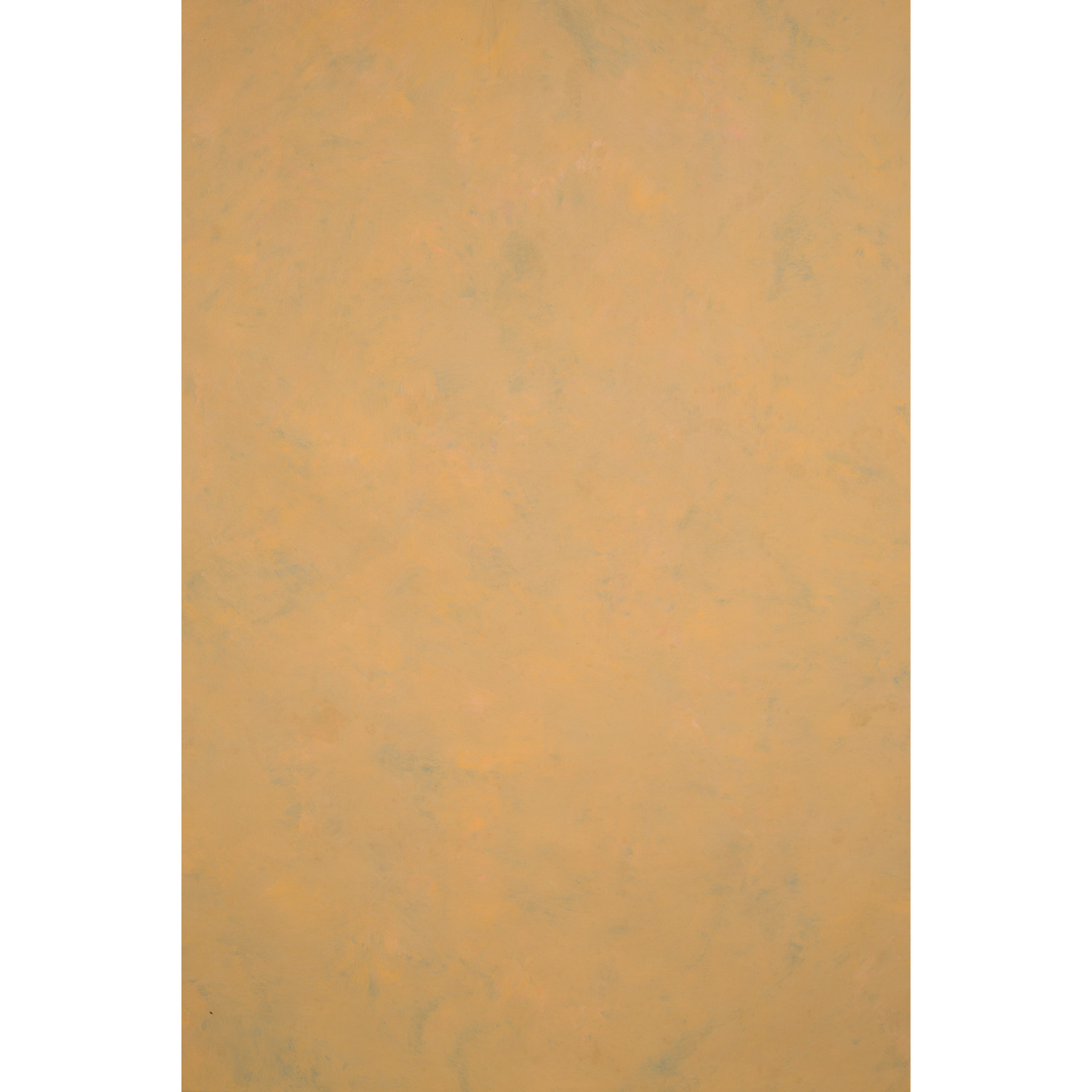 Gravity Backdrops Ochre Mid Texture XL (SN: 1124)