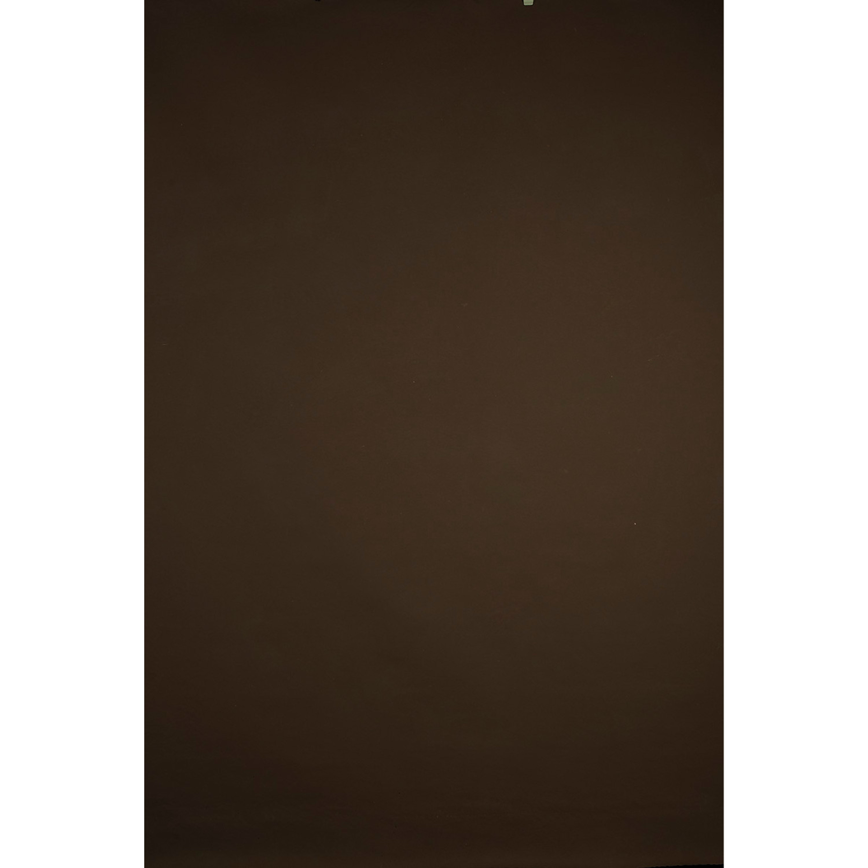 Gravity Backdrops Brown Mid Texture LG (SN: 8622)