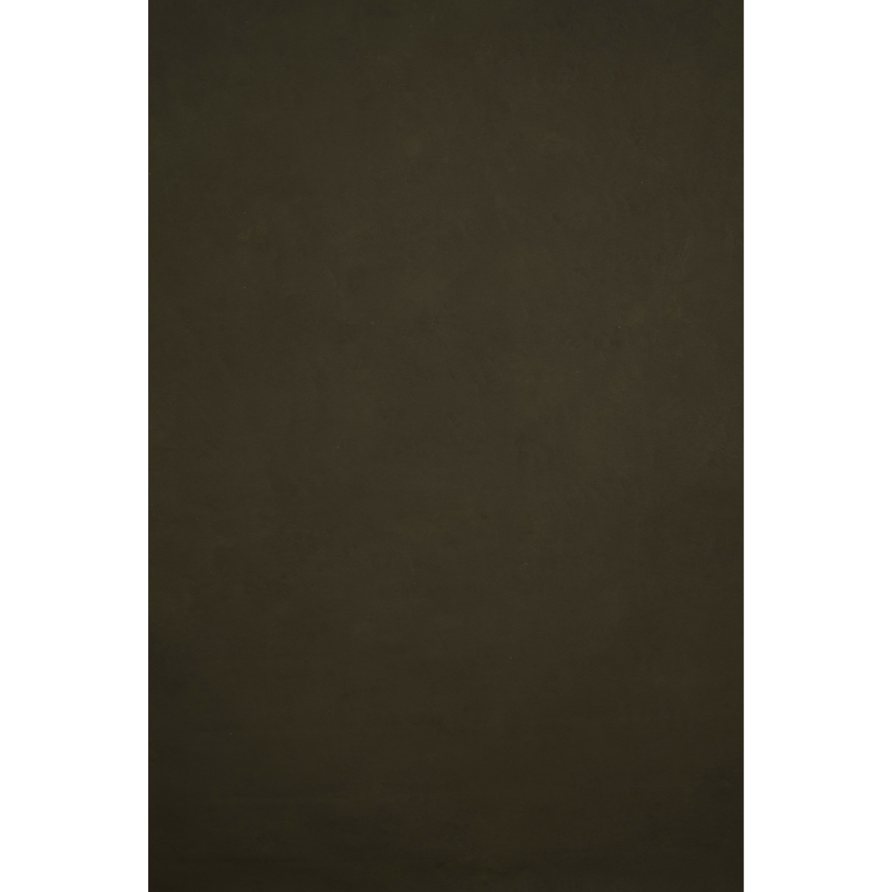 Gravity Backdrops Olive Green Low Texture LG (SN: 11042)