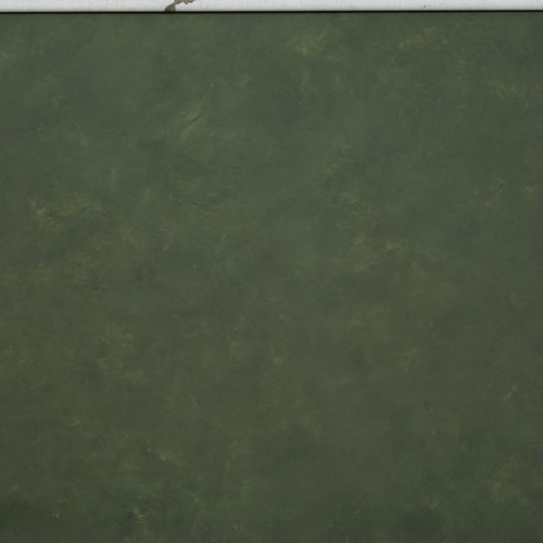 Gravity Backdrops Green Mid Texture XXXL Gravity Backdrops Green Mid Texture XXXL