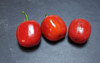 Rocoto Costs Rica Chilli Pods Image by CHILLIESontheWEB