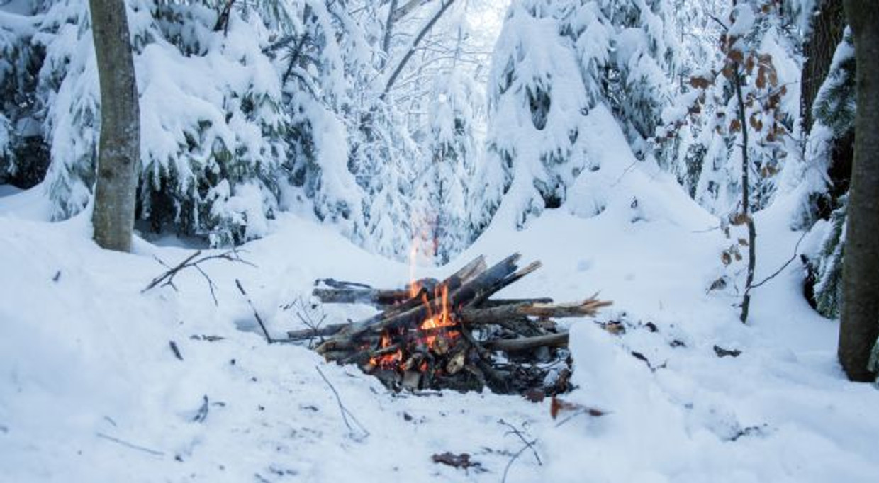 November 3 Newsletter