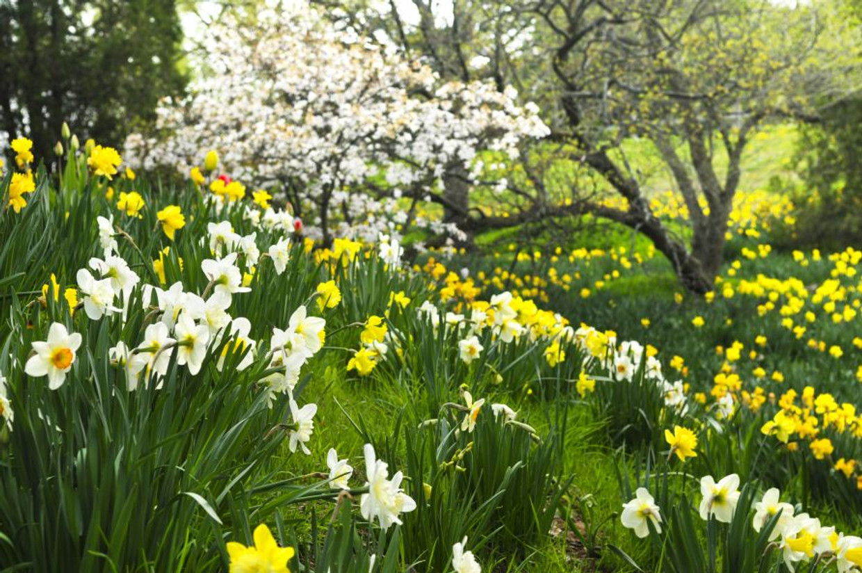 February 2023 Spice News