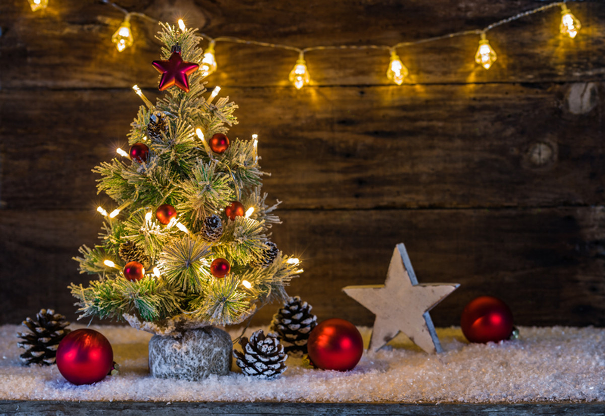 December 2 Newsletter