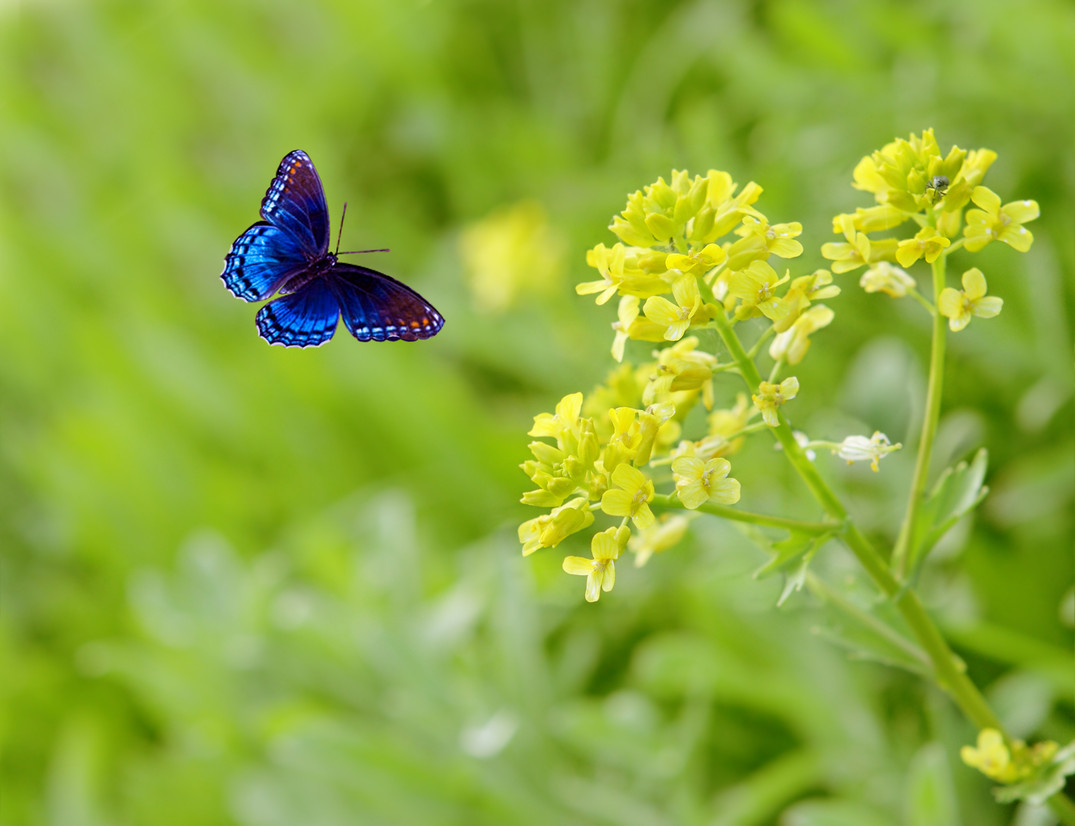 July Newsletter 2022