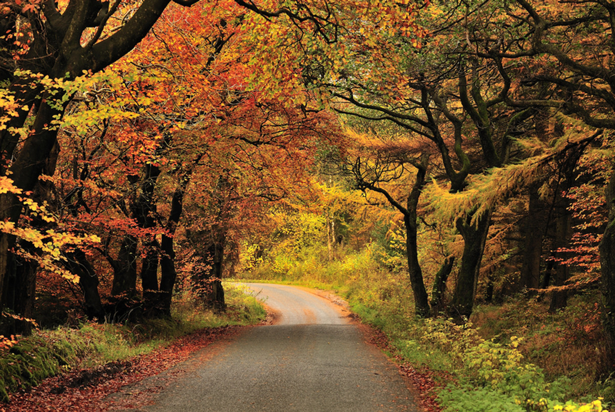 October 2021 Newsletter