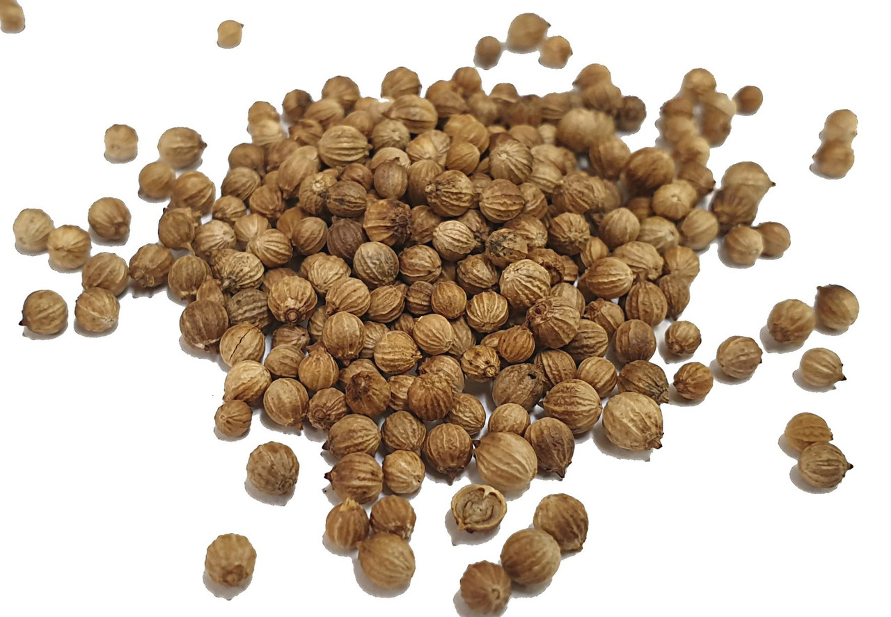 Organic Whole Coriander Seeds - 4 Oz, Gluten-Free, USDA Certified, For Cooking & Spice Blends 9 thumbnail image