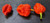 7 Pot Bubblegum Red Mature Chilli Pods Image by CHILLIESontheWEB 7 Pot Bubblegum Red Mature Chilli Pods Image by CHILLIESontheWEB