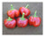 Mexibell F1 Chilli Seeds Image by CHILLIESontheWEB Mexibell F1 Chilli Seeds Image by CHILLIESontheWEB