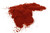 Smoked Paprika Image, Spices on the Web Smoked Paprika Image, Spices on the Web