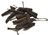 Central Java Long Pepper Image by SPICESontheWEB Central Java Long Pepper Image by SPICESontheWEB