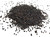 Maw Seeds Blue from Holland Image by Spices on the Web Maw Seeds Blue from Holland Image by Spices on the Web