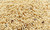 Maw Seeds White from India Image by Spices on the Web Maw Seeds White from India Image by Spices on the Web