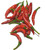 Cobanero Chilli Plant Image by CHILLIESontheWEB Cobanero Chilli Plant Image by CHILLIESontheWEB