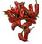 Jemez Pueblo Chilli Plant Image by CHILLIESontheWEB Jemez Pueblo Chilli Plant Image by CHILLIESontheWEB