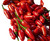 Amashito Wild Chilli Plant Image by CHILLIESontheWEB Amashito Wild Chilli Plant Image by CHILLIESontheWEB