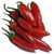 Serrano Huasteco Chilli Plant Image by CHILLIESontheWEB Serrano Huasteco Chilli Plant Image by CHILLIESontheWEB