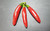 Jalapeno Um-Ji-Put Chilli Plant Image by CHILLIESontheWEB Jalapeno Um-Ji-Put Chilli Plant Image by CHILLIESontheWEB