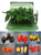 6 Pack of Superhot Chilli Seedling Plants Pack 2 Image by CHILLIESontheWEB 6 Pack of Superhot Chilli Seedling Plants Pack 2 Image by CHILLIESontheWEB