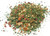 Organic Chimichurri Seasoning Image by SPICESontheWEB Organic Chimichurri Seasoning Image by SPICESontheWEB