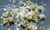Seaweed Sea Salt Organic Image by SPICESontheWEB Seaweed Sea Salt Organic Image by SPICESontheWEB