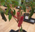 New Mexico Red Chilli Plant Image by CHILLIESontheWEB New Mexico Red Chilli Plant Image by CHILLIESontheWEB