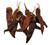 Devanur Deluxe Chilli (DD341) Indian Chilli Image by CHILLIESontheWEB Devanur Deluxe Chilli (DD341) Indian Chilli Image by CHILLIESontheWEB