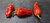 Black Panther Red Mature Chilli Pod Image by CHILLIESontheWEB Black Panther Red Mature Chilli Pod Image by CHILLIESontheWEB