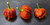 Moruga Scorpion Burgundy Mature Chilli Pods Image Chillies on the Web Moruga Scorpion Burgundy Mature Chilli Pods Image Chillies on the Web