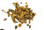 Turmeric Granules Organic Image by SPICESontheWEB Turmeric Granules Organic Image by SPICESontheWEB