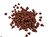 Annatto Seeds Organic Image by SPICESontheWEB Annatto Seeds Organic Image by SPICESontheWEB