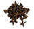 Star Anise Whole Organic Image by SPICESontheWEB Star Anise Whole Organic Image by SPICESontheWEB